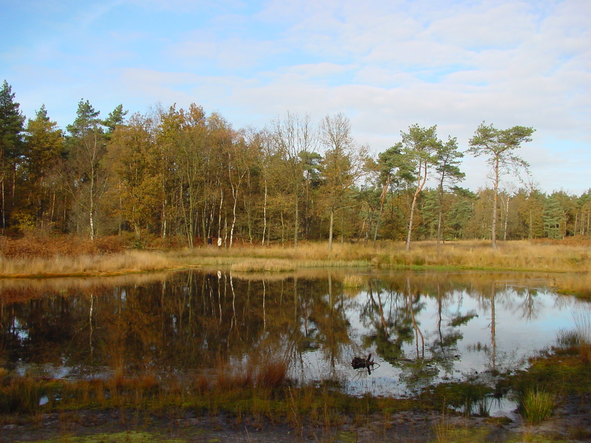 DSC00018.jpg